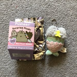 pusheen and stormy keychain